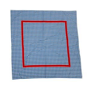 TBBC 25" Barbados Blue Check Pillow Sham